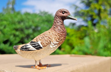 VOGEL ENTE FEDERVIEH MASSE