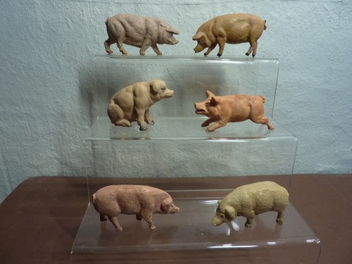 Schweine von elastolin und - von,