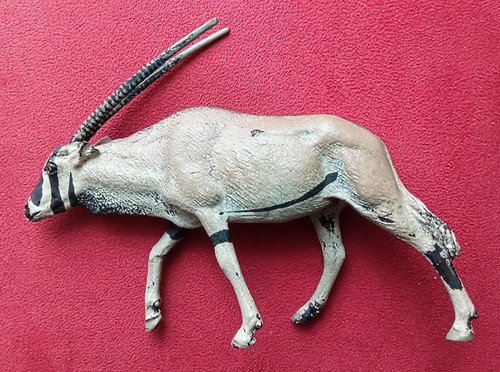 Lineol oryx antilope - oryx,