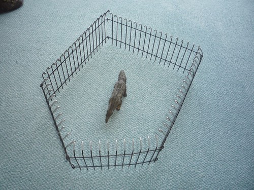 Alte tiere figuren - tiere,