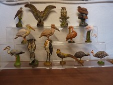 großes Vogelkonvolut von